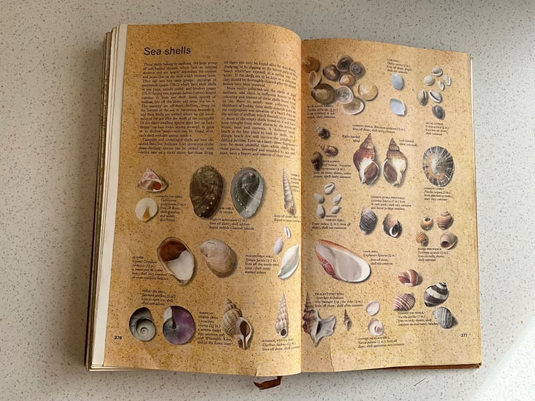 The Reader's Digest AA Book of the Road - Vintage book 1967, Maps, Flowers, Butterflies, Sea shells