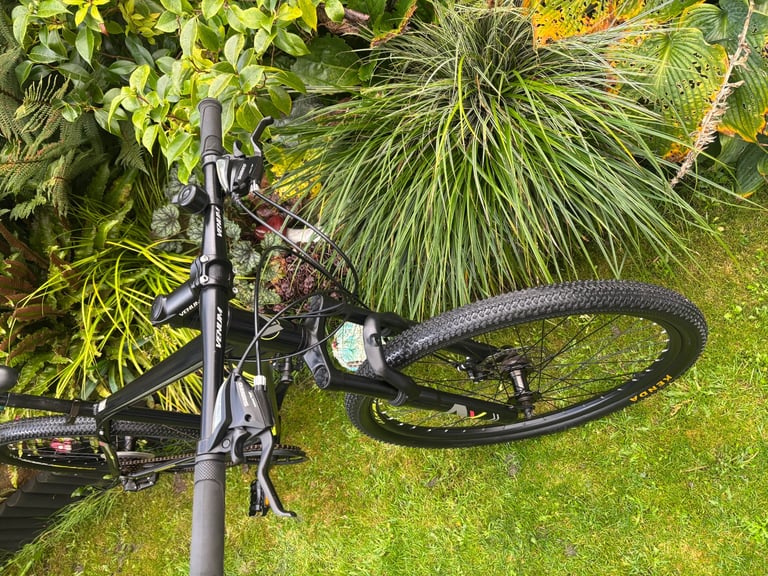 Mens mountain bike (like new) like carrera 