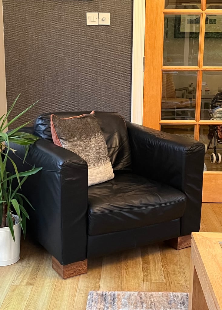 Leather Sofas and Chair