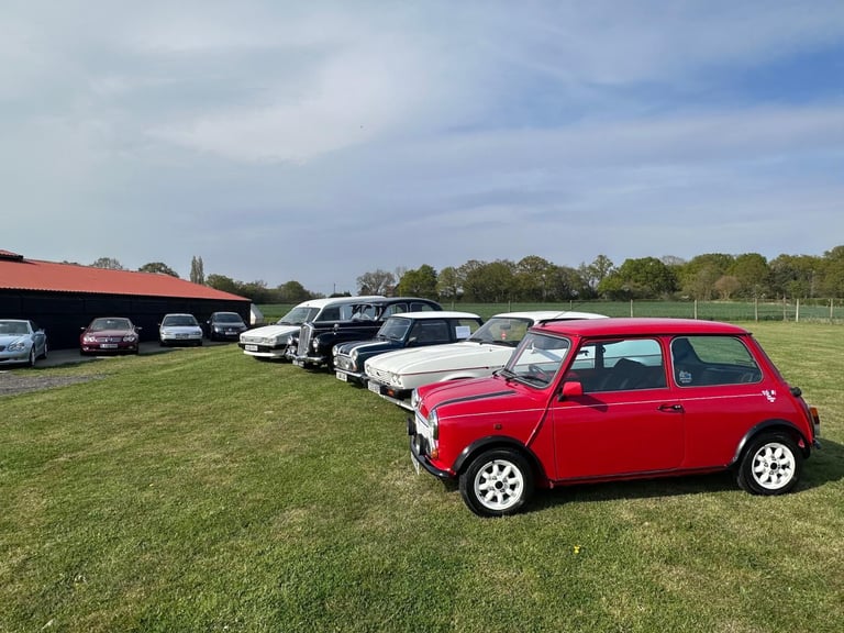 Rover Mini Italian Job