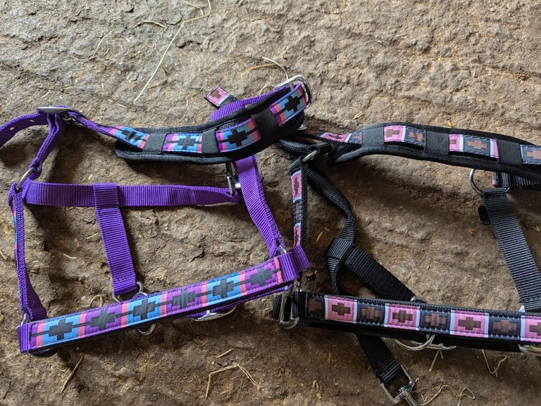 Rugs and cob head collars 