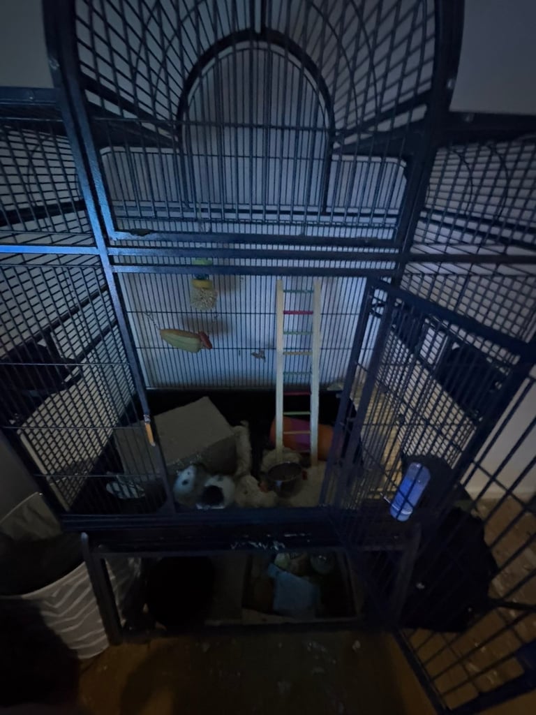 Rat cage and accessories 