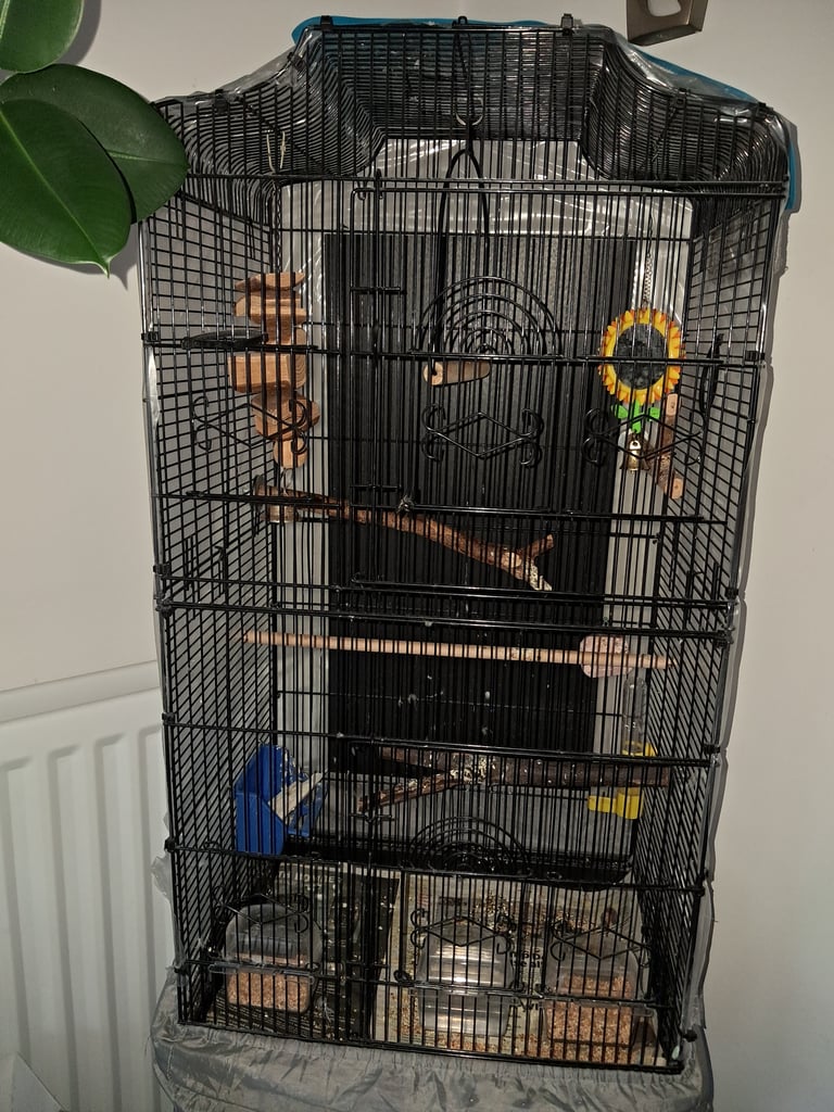 Bird Cage free to collect