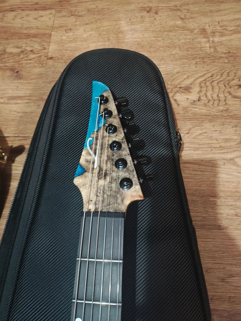 Stunning legator x6 Carribbean 