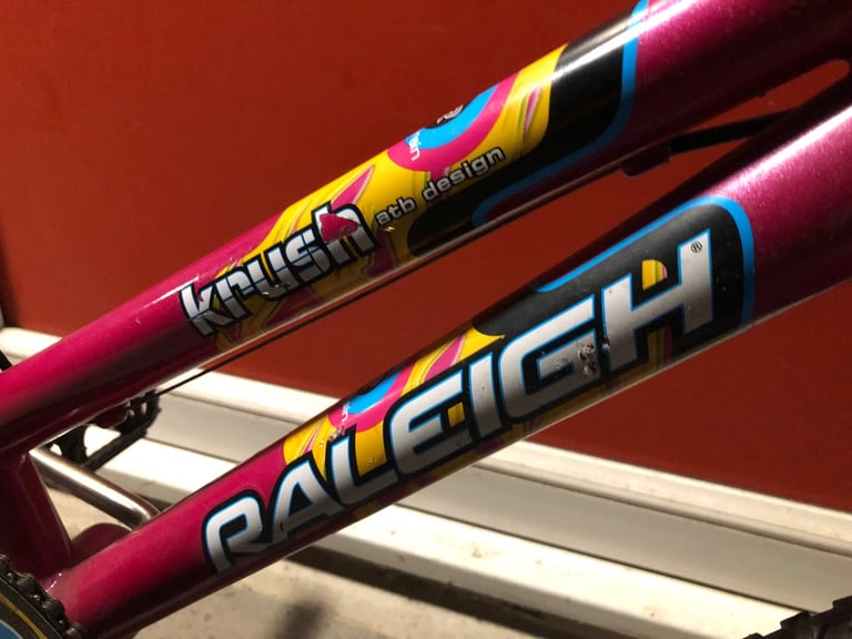 Raleigh Kids bike