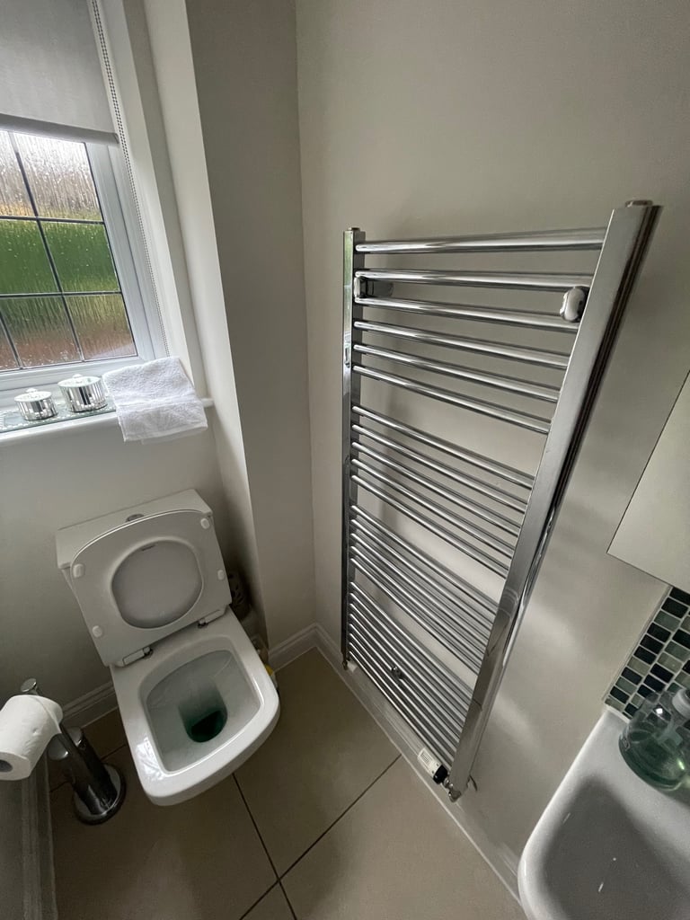 Toilet, Sink & Accessories