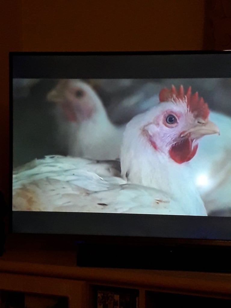 Samsung TV 40 Inch UE40H5000AK Full HD Freeview Non-Smart Working But Lights On Screen