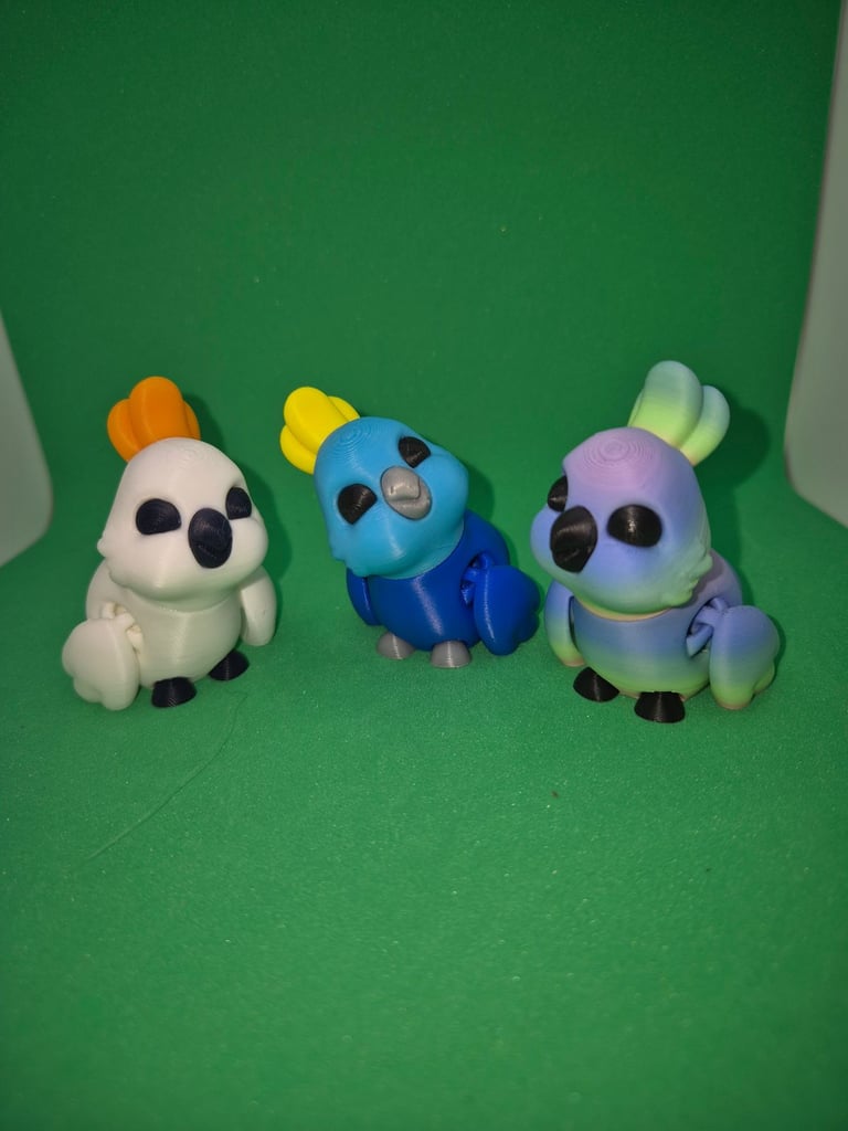 image for Fidget cockatoo 