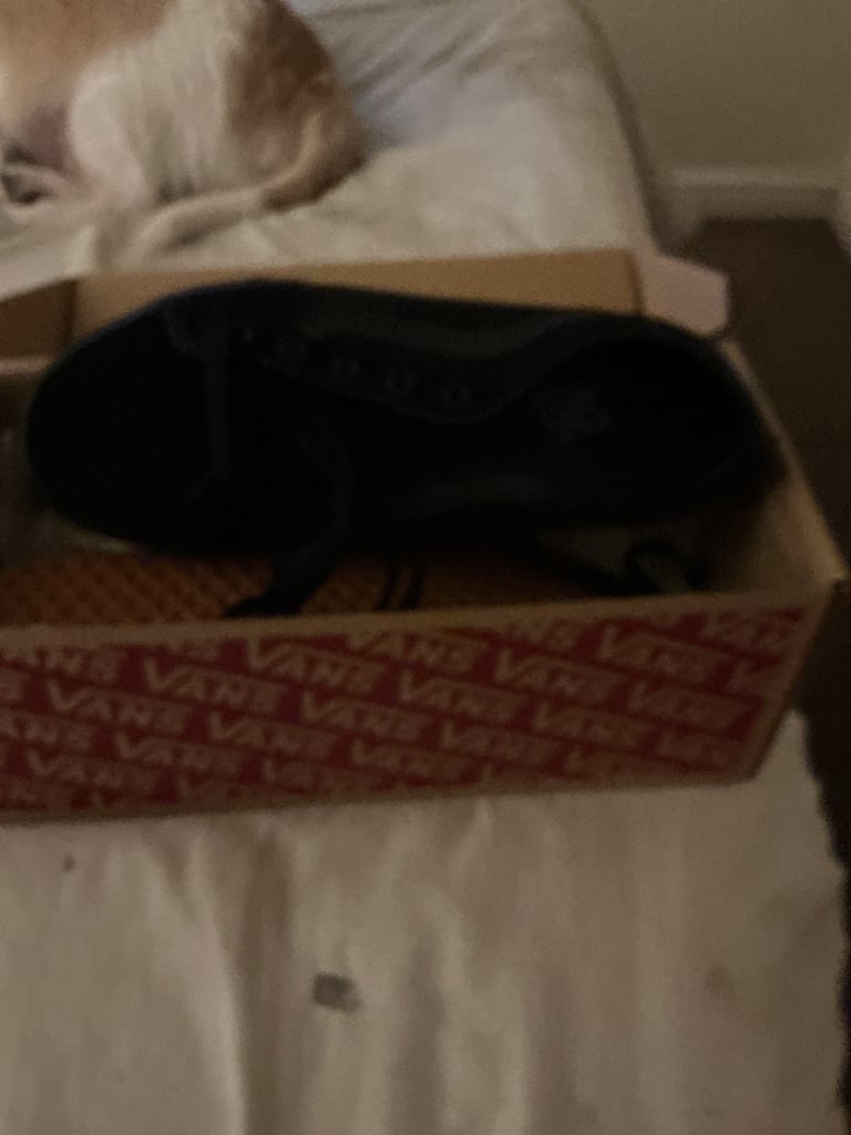image for Trainers 