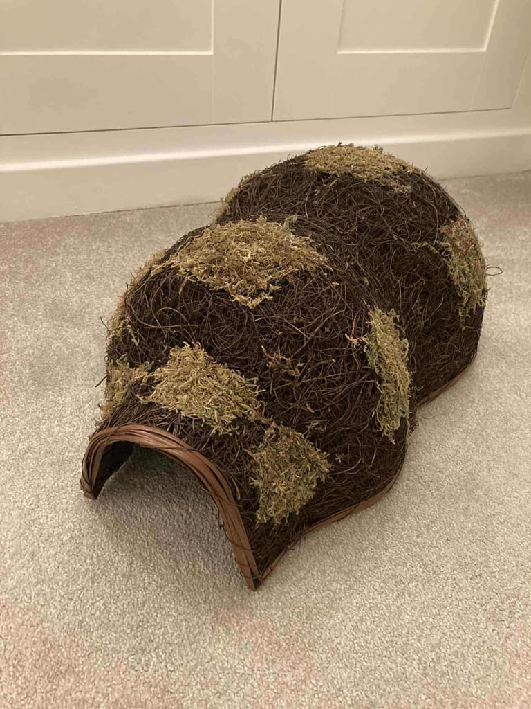 image for Hedgehog house 