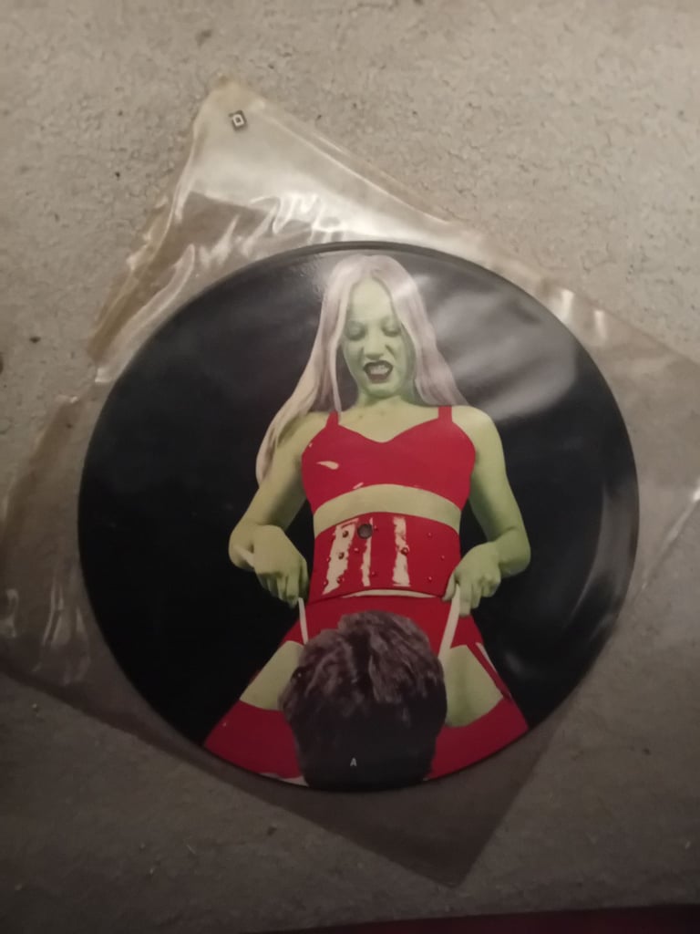 image for L7 picture disc 12" vinyl record