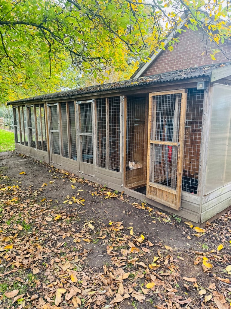 Cattery Kennel block
