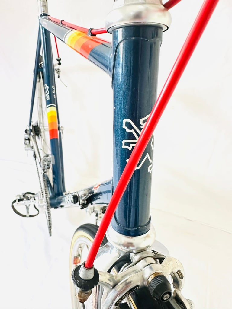 14  Pigeon VITUS Size/58 spDDd9a Original Spec Simplex Road Bike