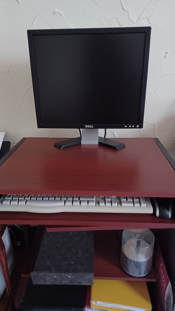 Dell Monitor