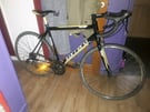 Mens racer carrera 7005 t6, 56cm frame 18 gears good brakes and tyres 