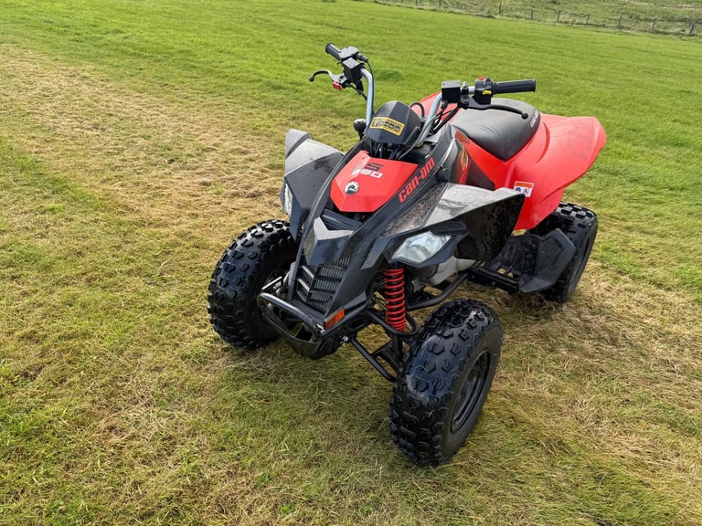 Can-am ds 250 quad 