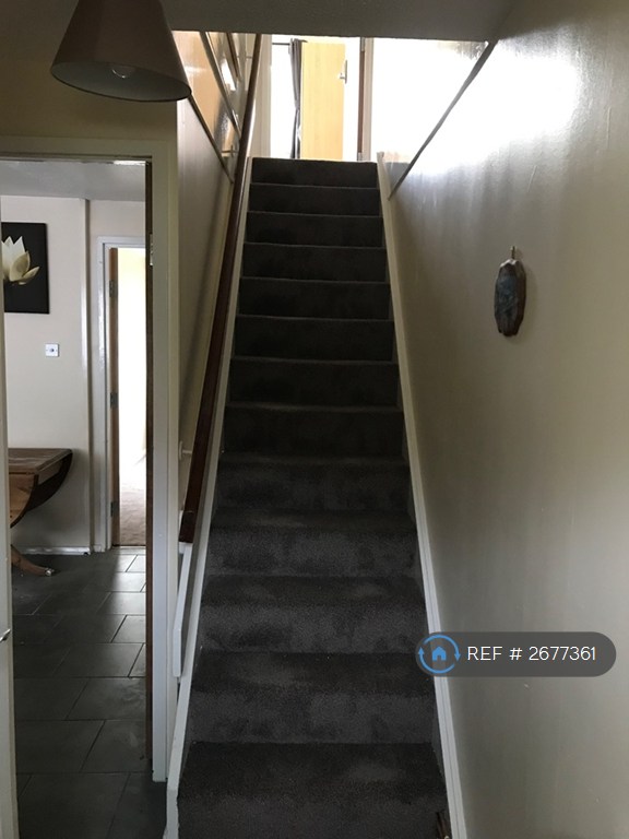 5 bedroom house in Park Barn Drive, Guildford, GU2 (5 bed) (#2677361)