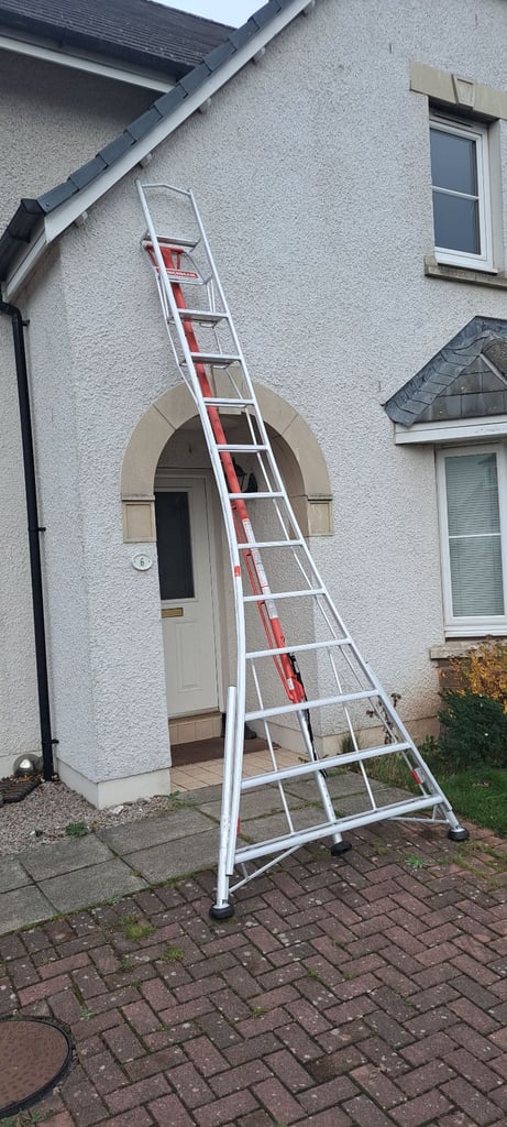 Tripod Ladders for high treework