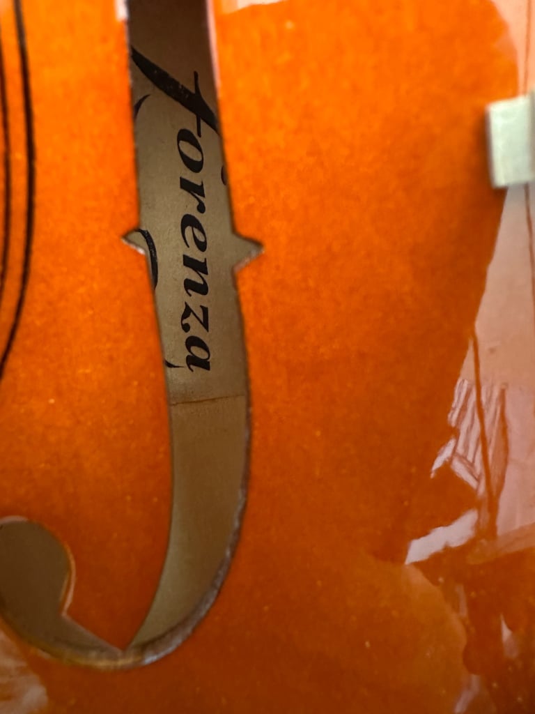 Full size forenza violin plush case and bow 