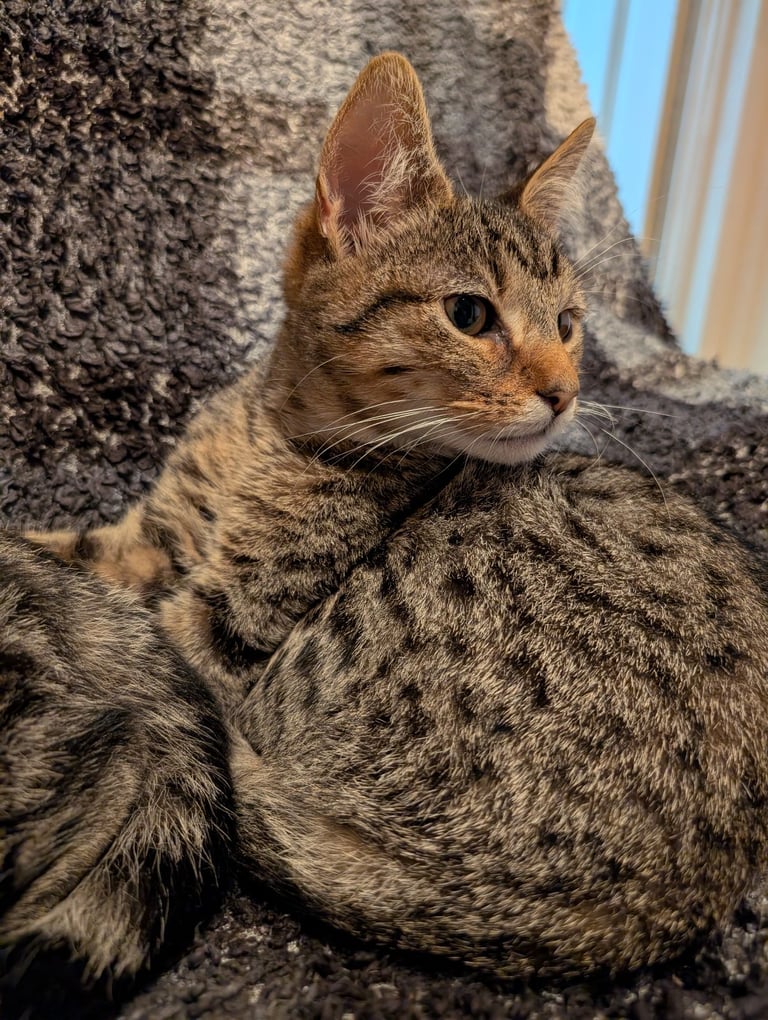 2 beautiful brothers 