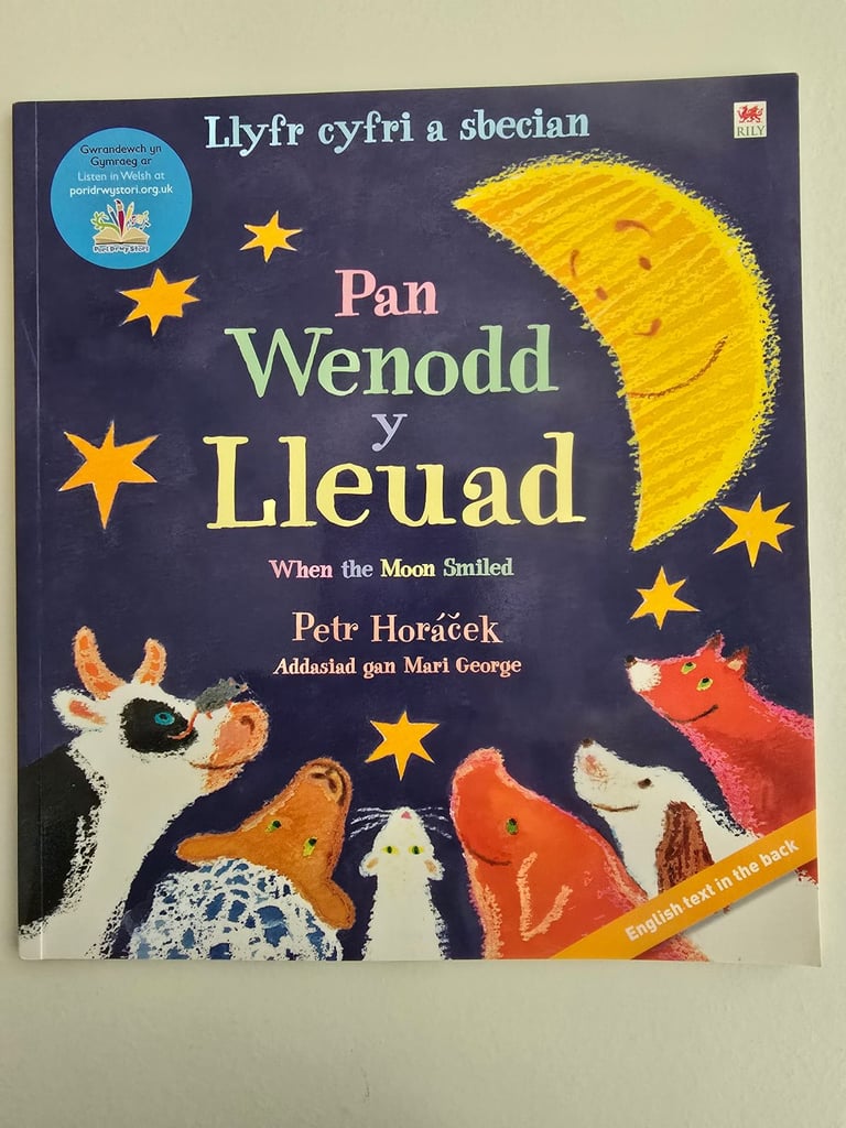 Pan Wenodd y Lleuad / When the Moon Smiled – Welsh Bilingual Storybook