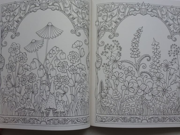IVY AND THE INKY BUTTERFLY STORY AND COLOURING BOOK