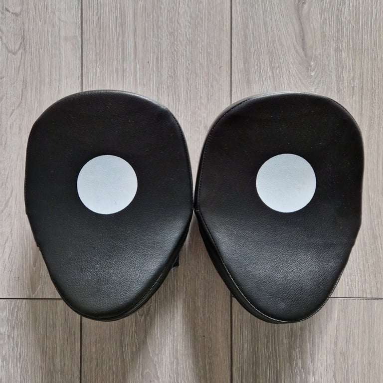 Lions Curved Focus Pads Hook & Jabs