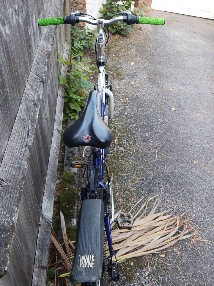 Schwinn Sierra: Adult Lightweight All Terrain Bike