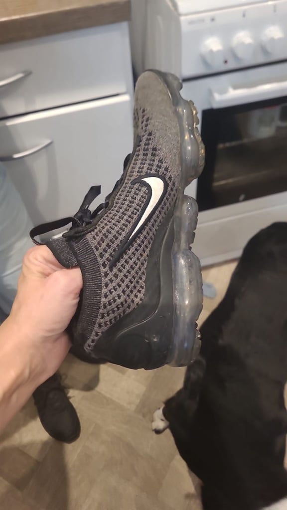 Lost trainer 