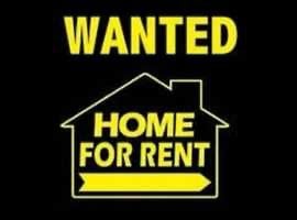 Wanted 1/2 Bedroom Flat or House