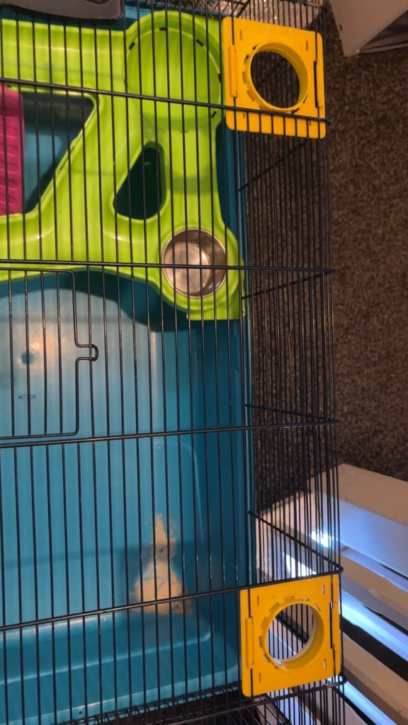 Free hamster cage 