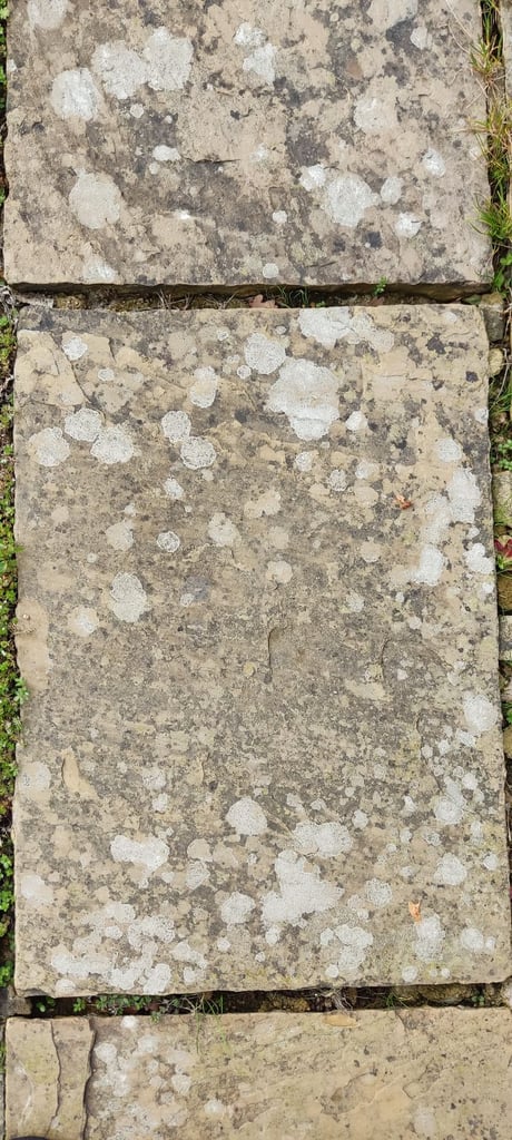Indian Sandstone Paving Slabs - 80 m2