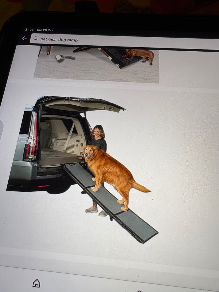 image for Pet gear car ramp
