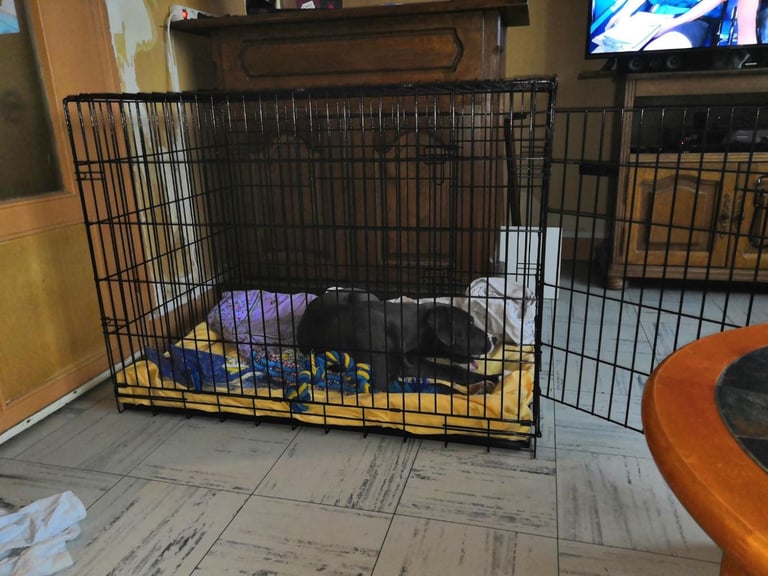 XL Dog Crate Cage 2 Door Crate Dog Cage with Removable Metal Tray & Sherpa Cushion