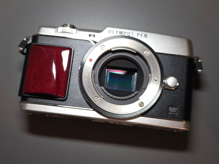 Olympus PEN E-P5 EP5 Wooden Special Edition with wooden grip