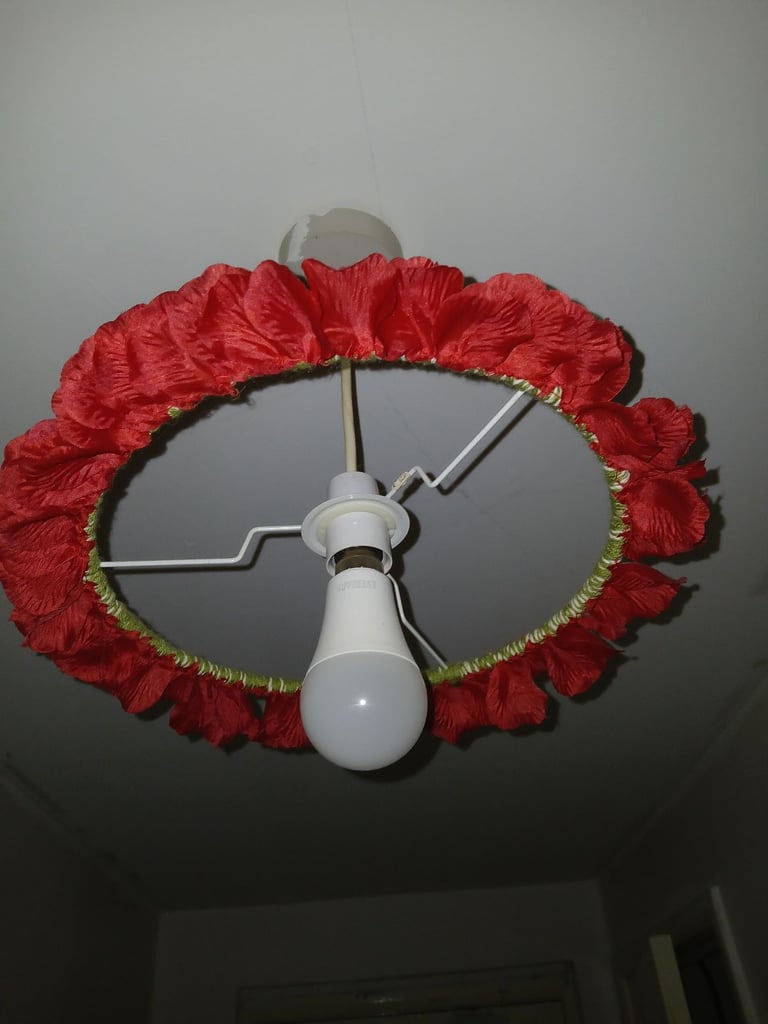 image for Light shade 