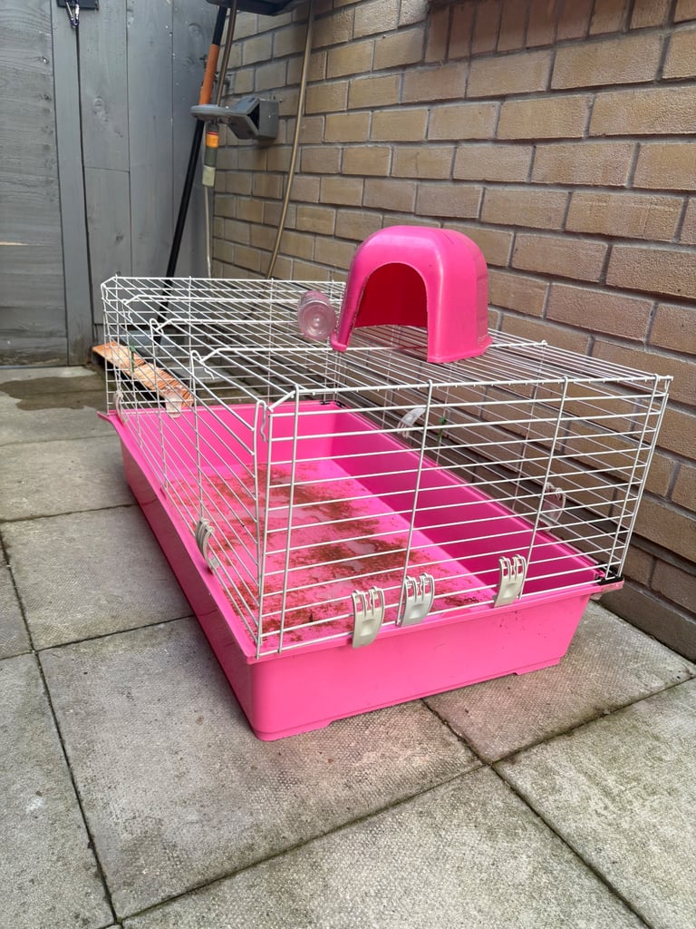 Guinea pig cage and bed 