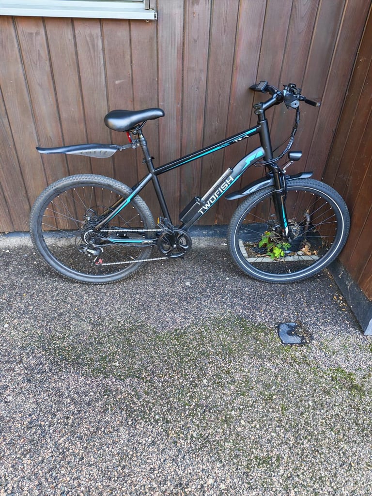 TwoFish Electric  Bike