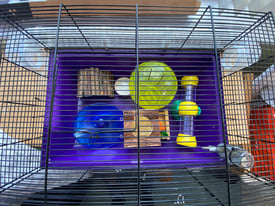 Hamster cage with accessories.