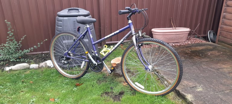 Raleigh Bike 
