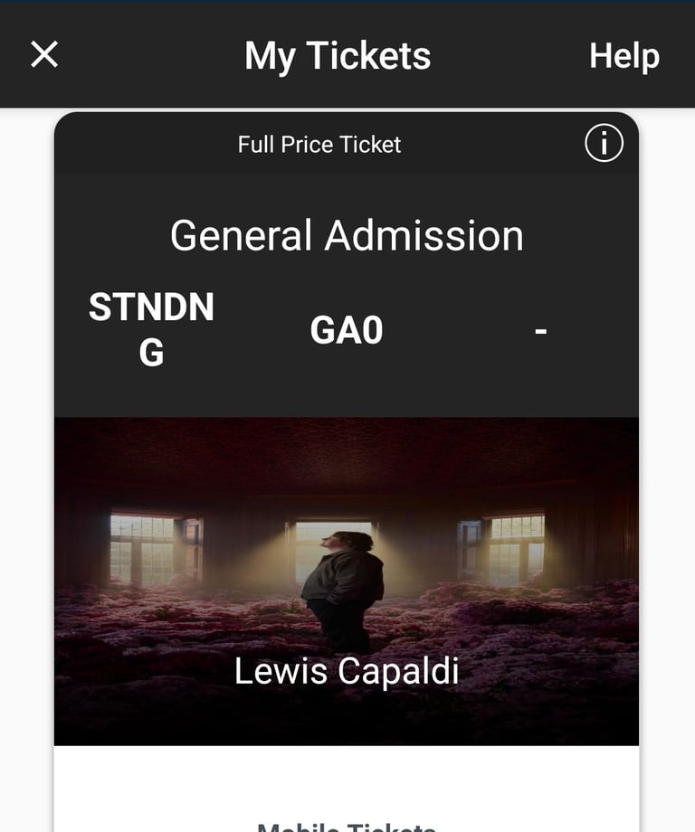 image for Lewis Capaldi