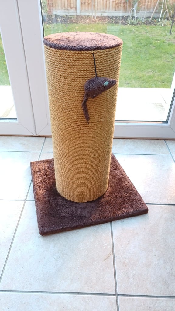 Cat beds, caves, blankets, grooming, scratch posts,litter tray