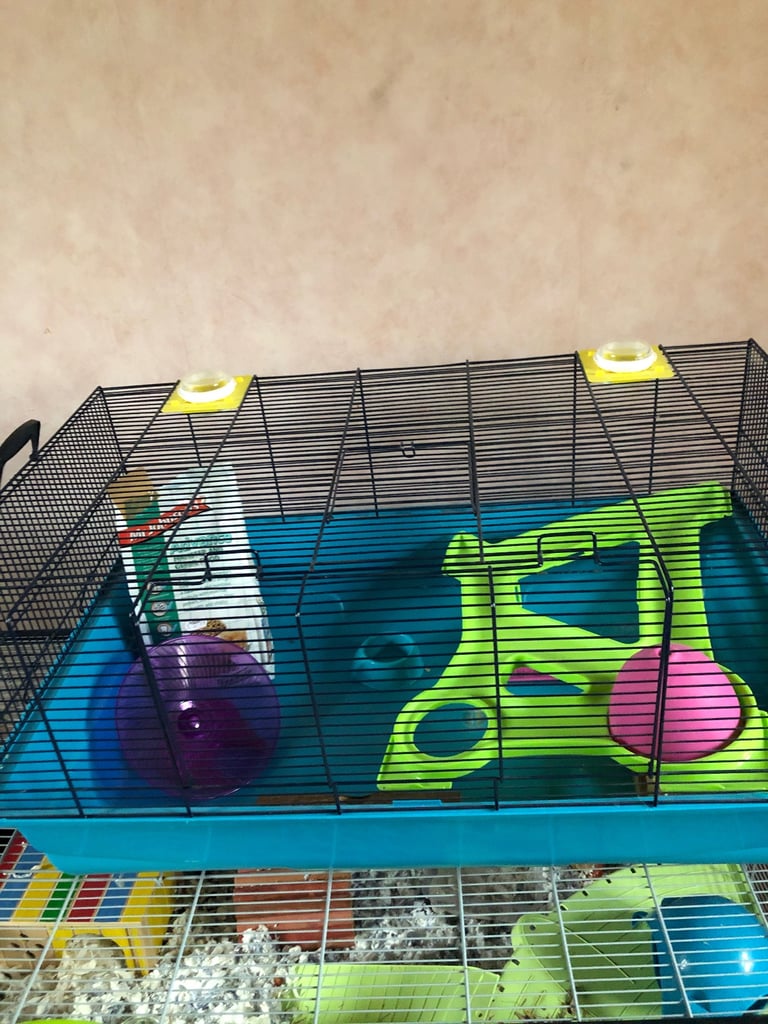 Hamster cage