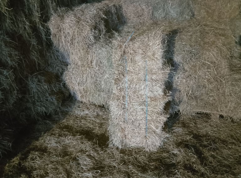 Hay for sale Kilrea