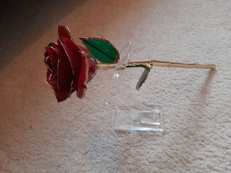 Forever Rose 24k Gold Dipped Real Rose. Collection only.