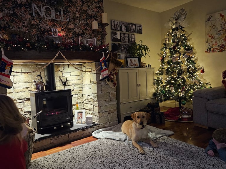 image for Working Labrador 