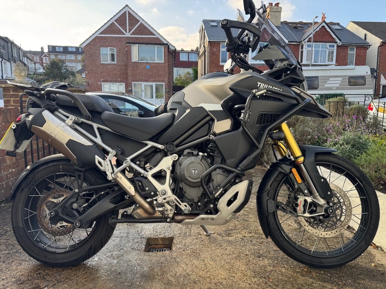 image for Triumph, TIGER, 2024, 1160 (cc)