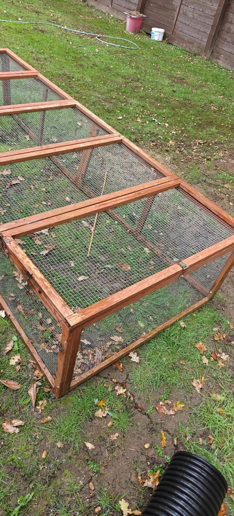 Rabbit / Guinea Pig Run
