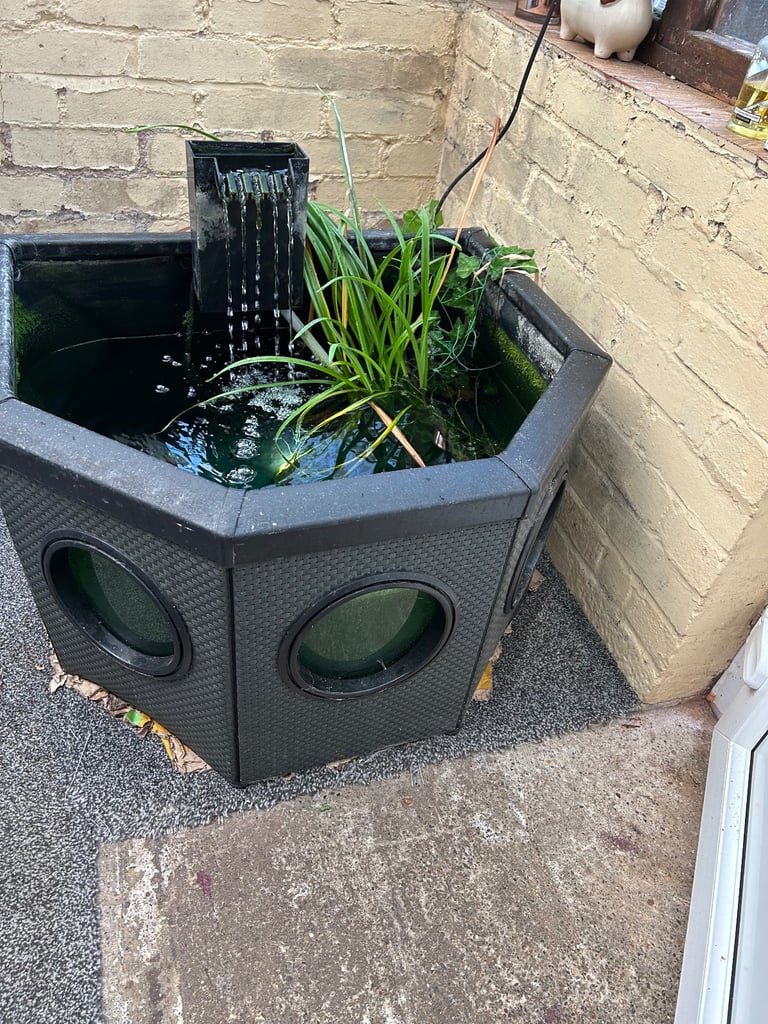 Blagdon half moon affinity pool