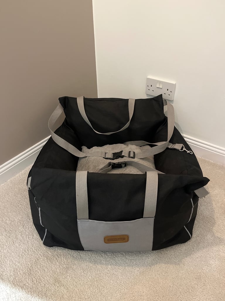 Dog car seat